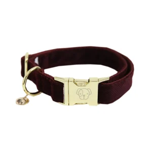 Kentucky Dogwear Dog Collar Corduroy -kaulapanta