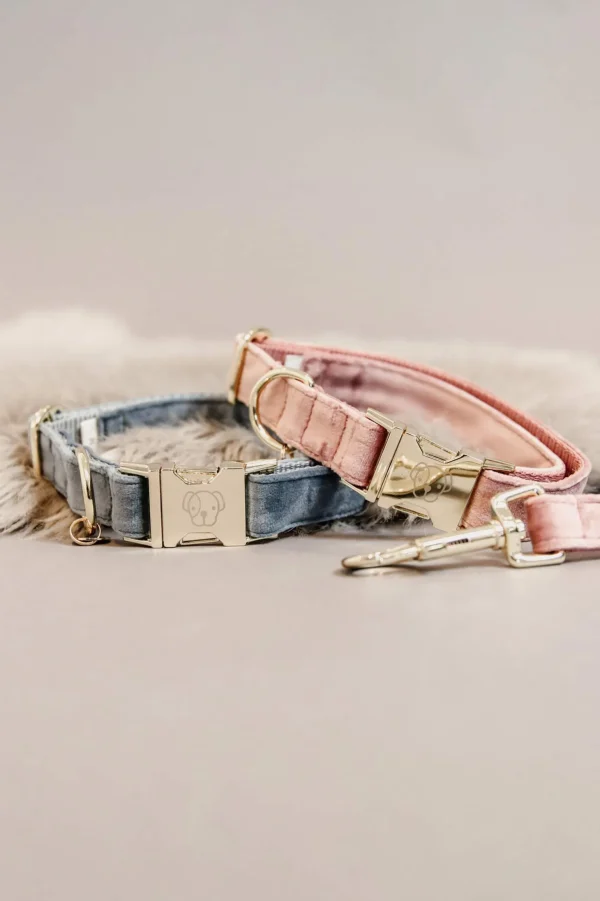 Kentucky Dogwear Dog Collar Velvet -kaulapanta